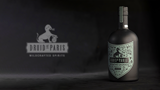 druid of paris vignette druid of paris vignette