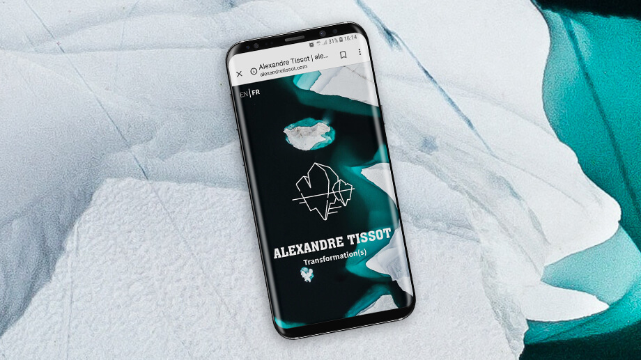 Alexandre Tissot Mobile - Lumini