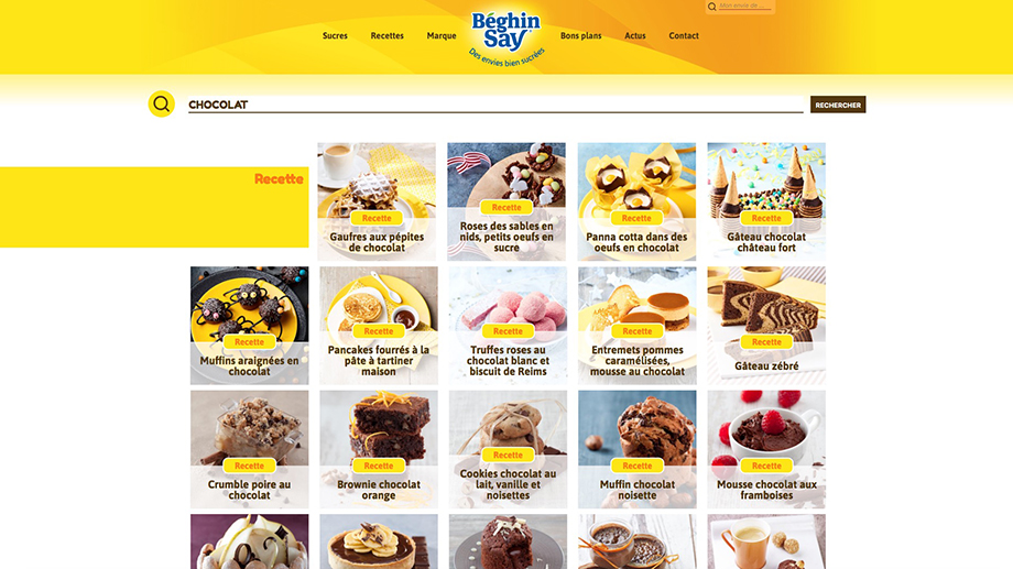 Ecran du site public Beghin Say avec une fonction de suggestion de recettes par mots clefs