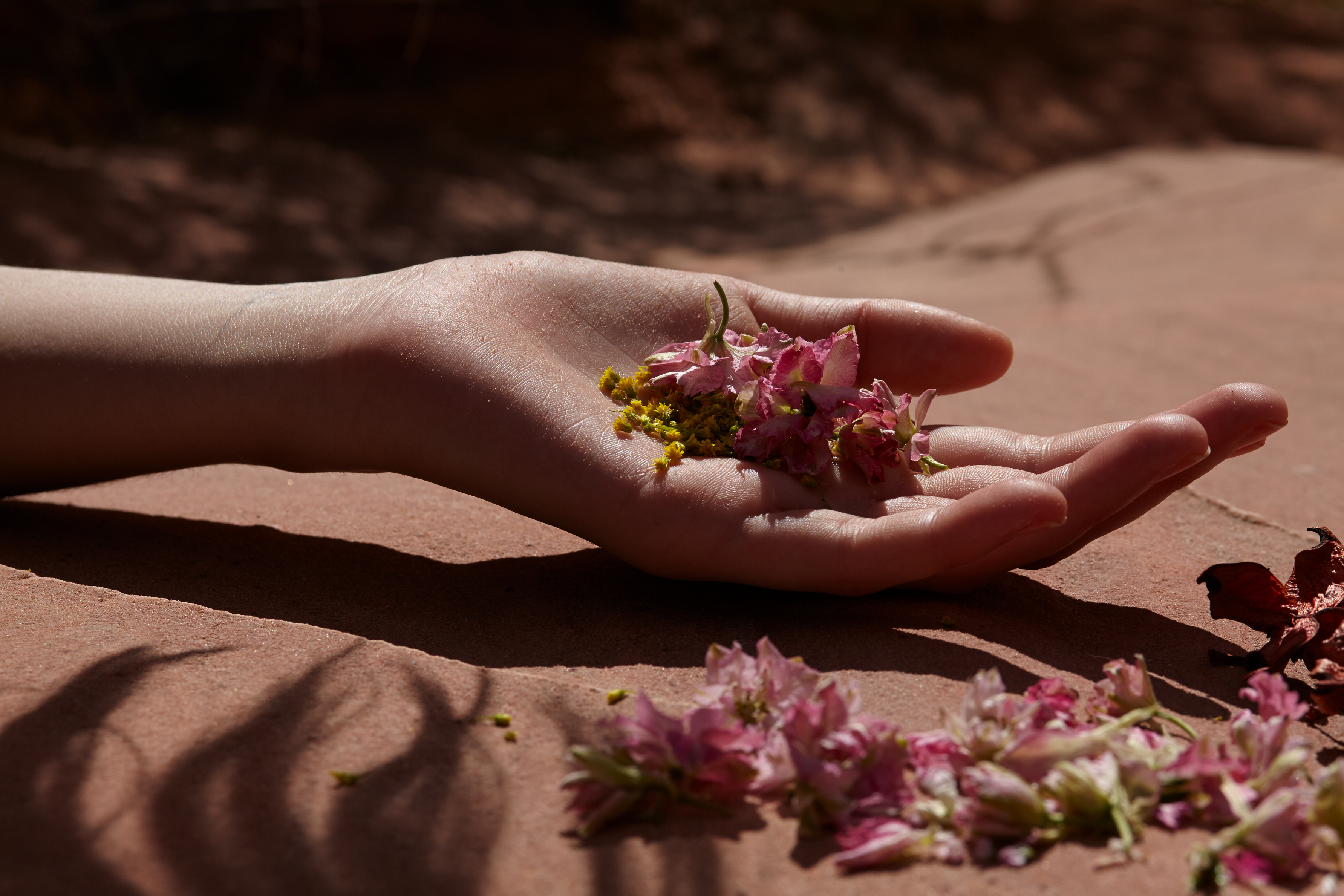 Main avec fleur pour affiche Arizona