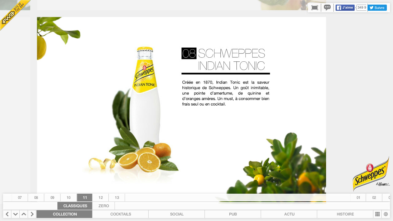 scweppes indian tonic site internet