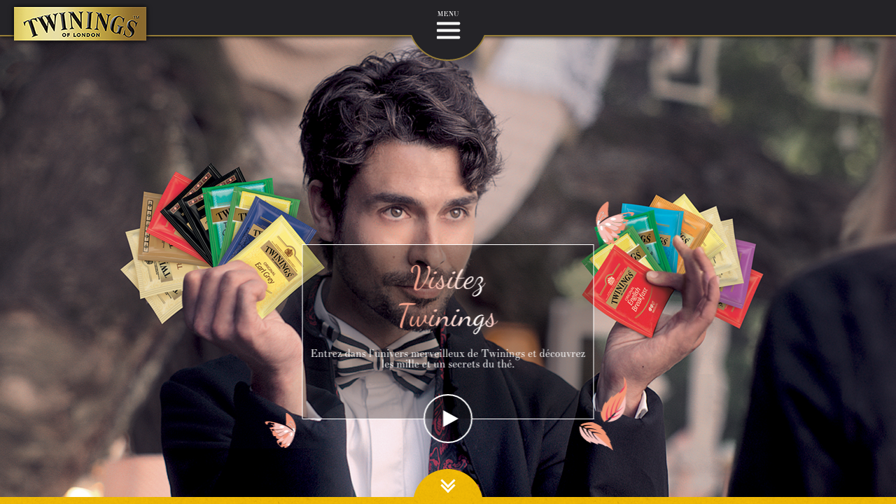 Visuel de la Home du site mytwinings.fr